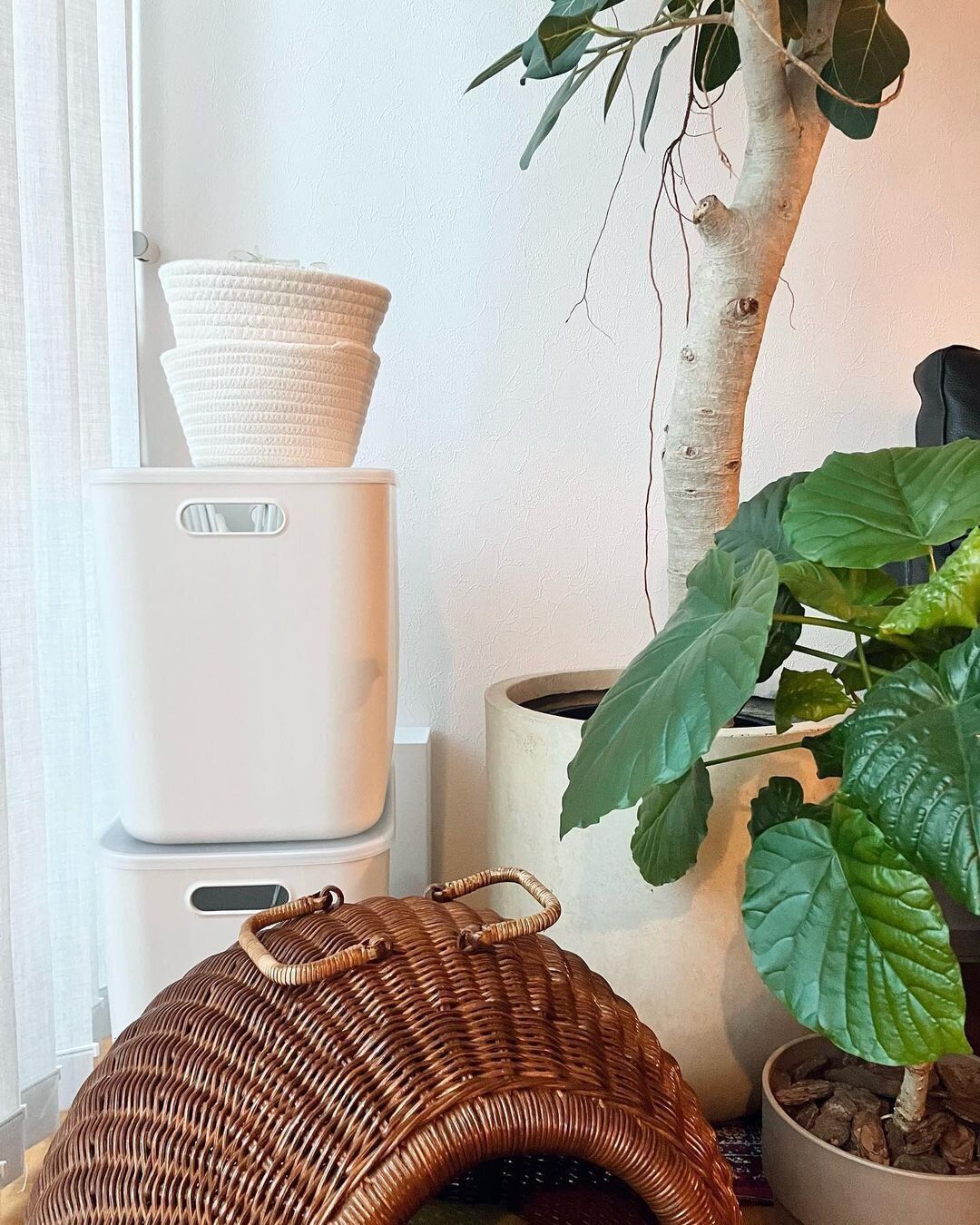 【無印良品】やわポリエチレンケースにハンガーがシンデレラフィット