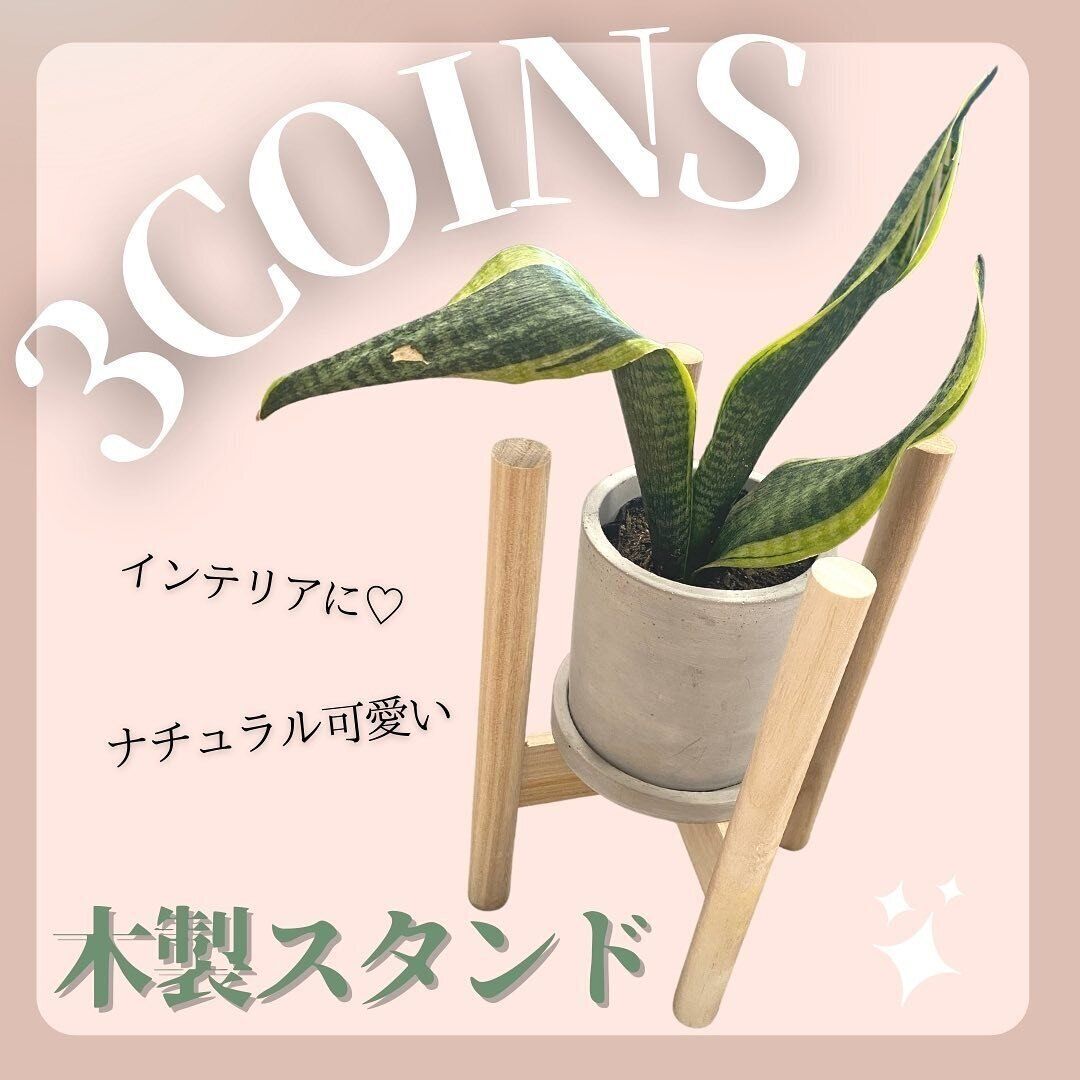 【3COINS】プランターの木製スタンドでナチュラルかわいいインテリアが完成