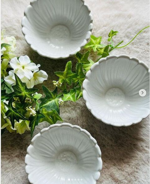 【ダイソー】思わず一目惚れ!ホワイトカラーのお花の小鉢がおしゃれすぎ