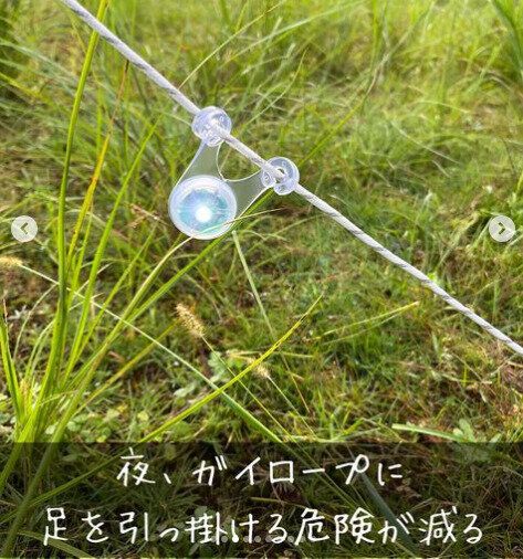 【セリア】テントロープつまずき予防