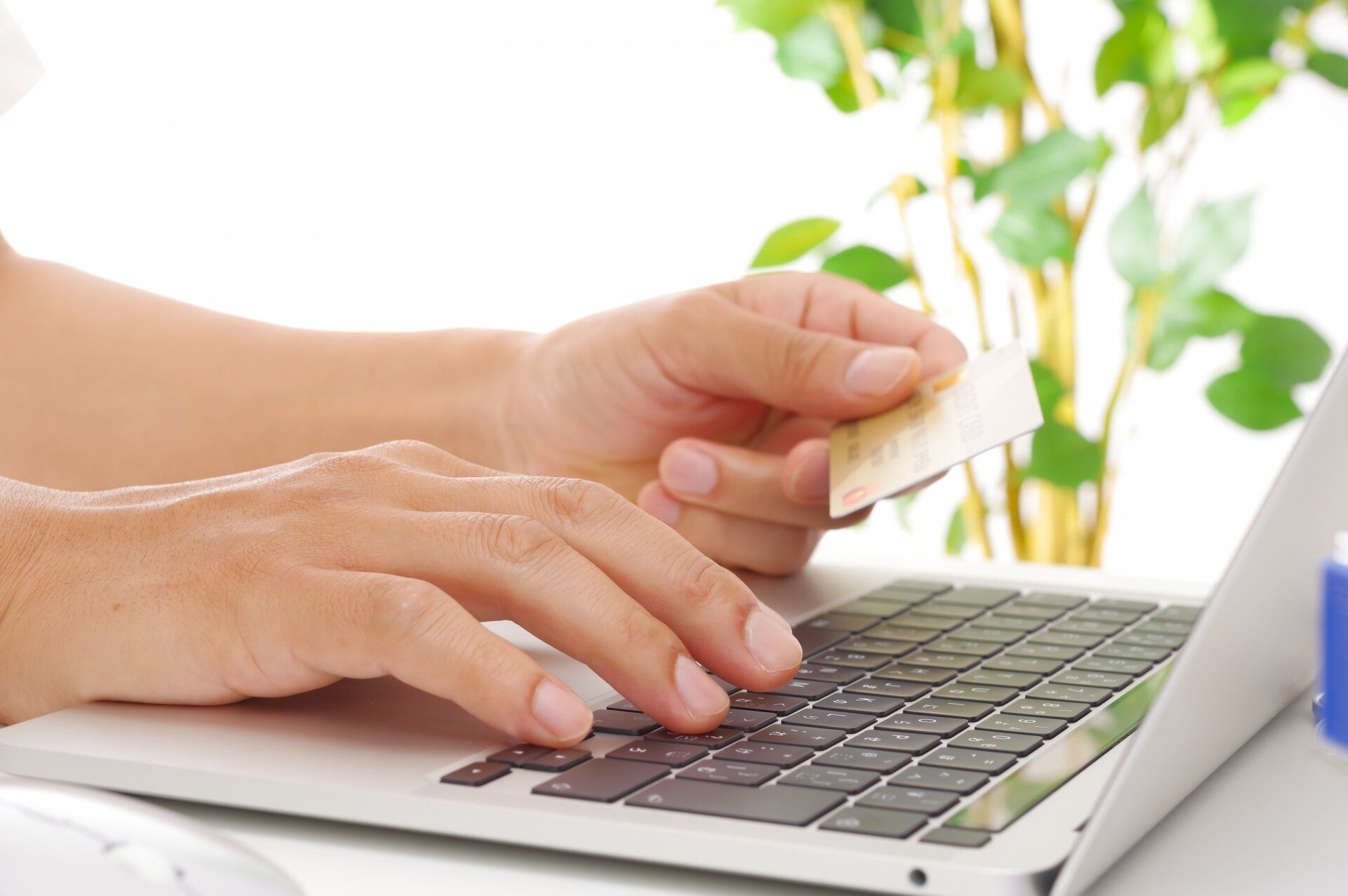 価格(コスパ重視)ランキング