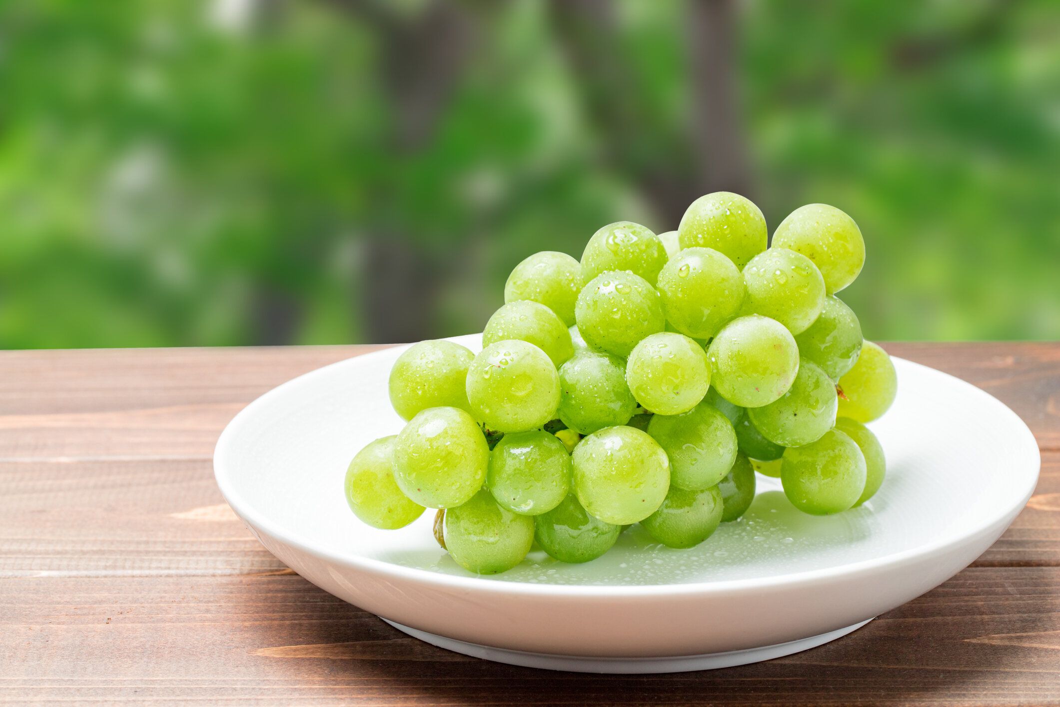 白い皿の上のマスカット