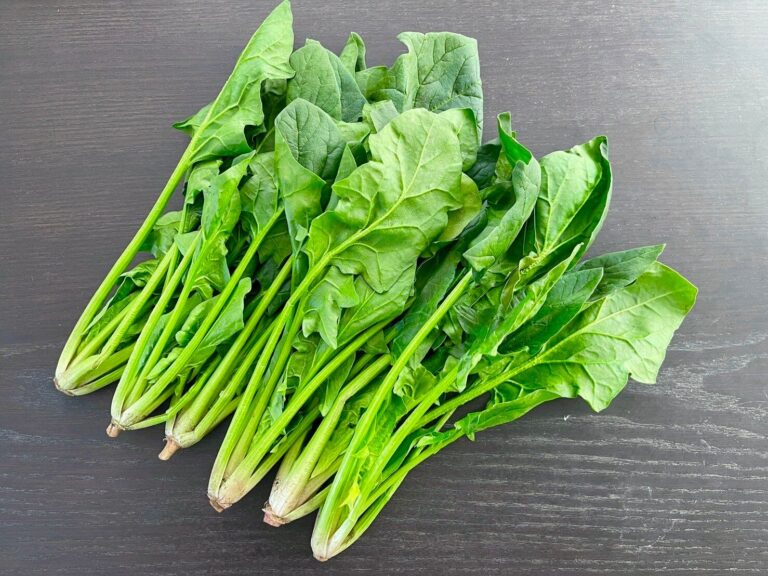 【旬食材】ひと手間でもっとおいしく！ほうれん草をおいしく食べる方法＆簡単レシピ2選