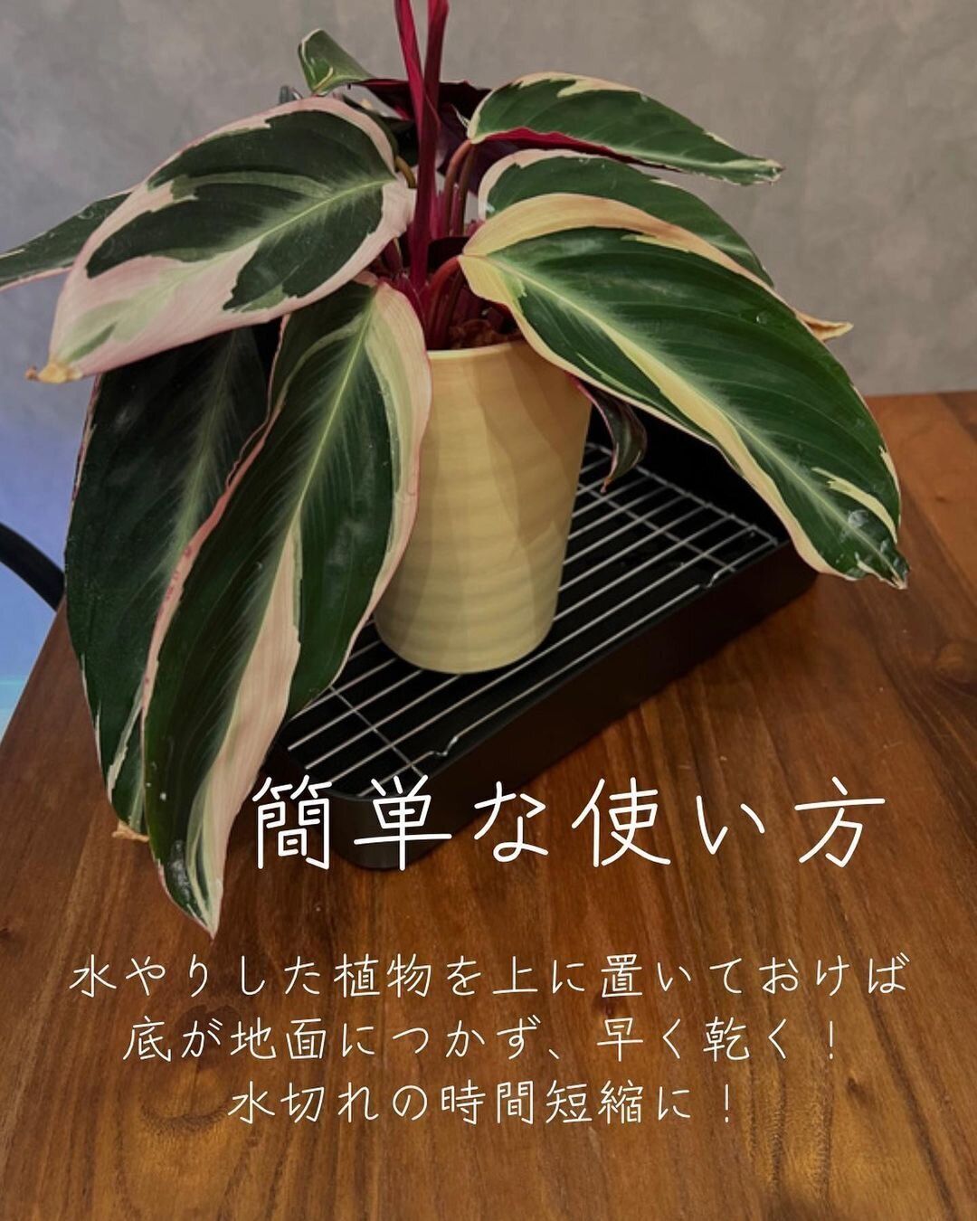 【ダイソー】7セット愛用している水切りグッズ