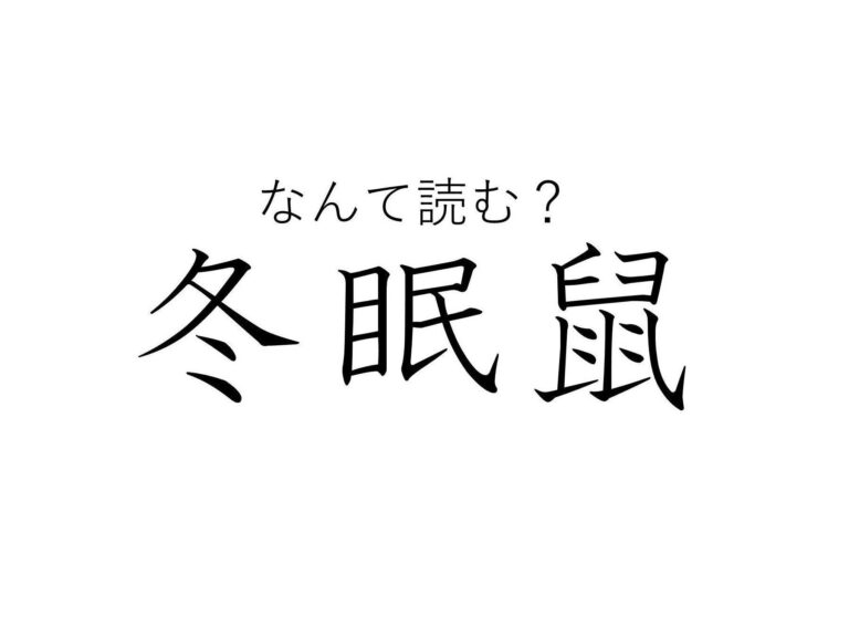 本当に冬眠するかわいい生き物！難読漢字クイズ「冬眠鼠」はなんて読む？