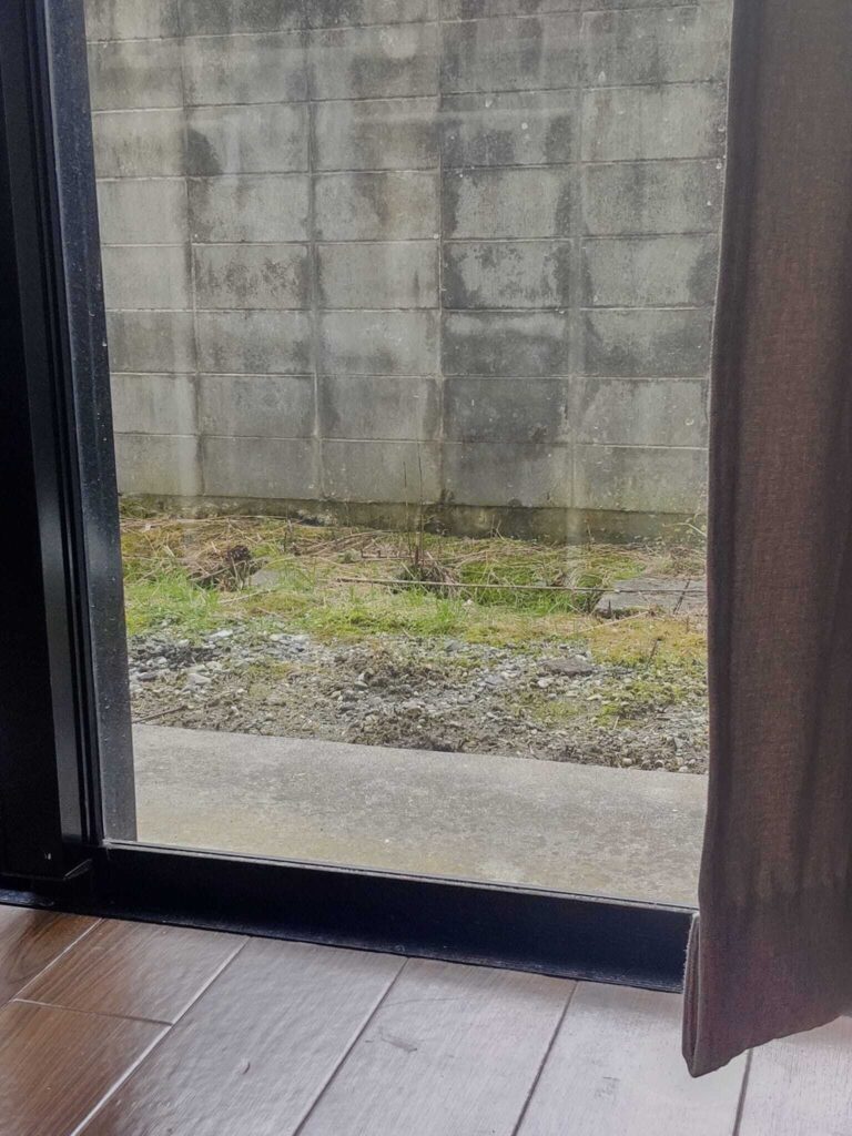 【サンキュ！STYLEのおすすめ記事NO43】今週はライターさんの暮らし方が気になりました