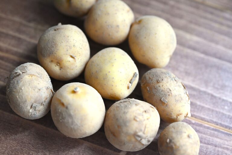 【旬食材】新じゃがいもを皮ごとおいしくいただこう！簡単副菜レシピ3選