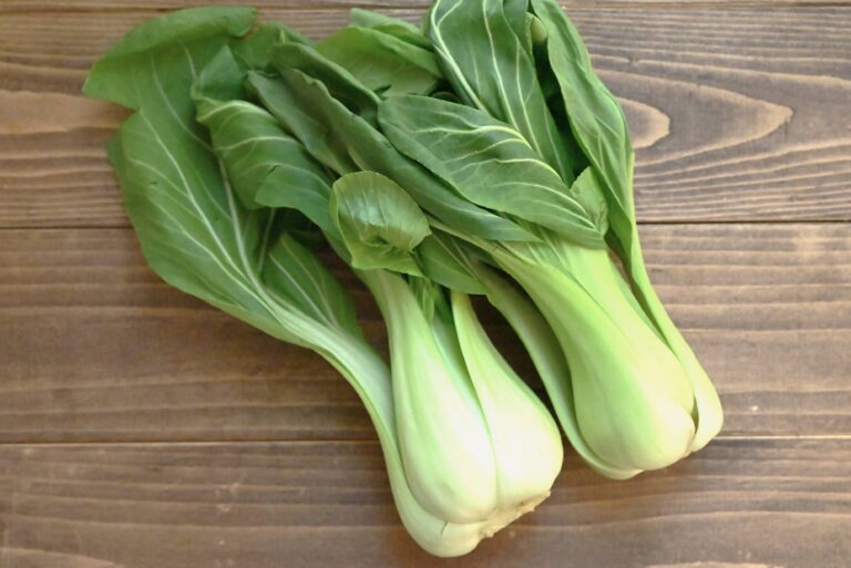 【旬食材】蒸して・茹でて・炒めて！メイン食材ちんげん菜だけ♪簡単に作れる副菜レシピ3選