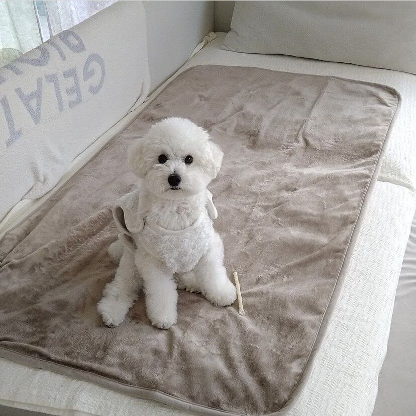 ソファでくつろぐかたにオススメ!