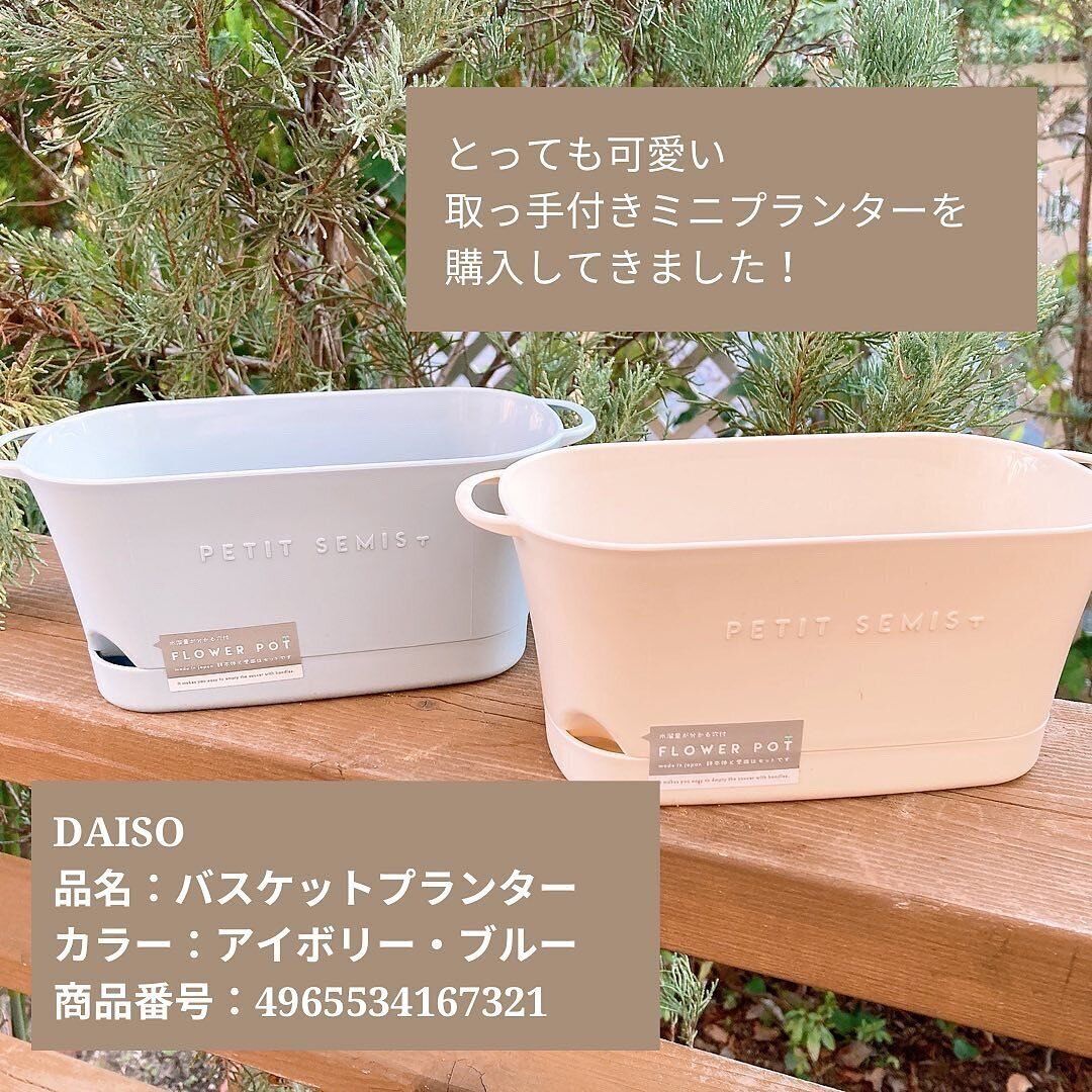 【ダイソー】かわいすぎるプランター