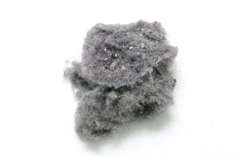 いつの間にか溜まる「ホコリ」の意外な正体とは!?掃除のコツ、発生を防ぐ対策方法も解説