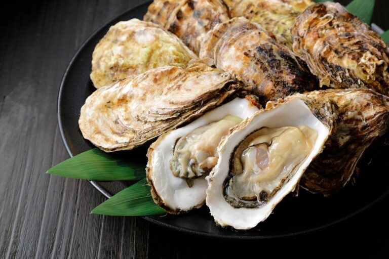 「牡蠣」の冷凍方法は？長持ちさせるコツやおすすめの活用レシピを紹介