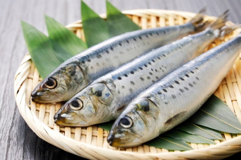 「いわし」は冷凍保存が便利！上手においしく保存するためのテクニック