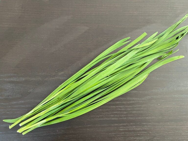 【旬食材】やみつきになるおいしさ！「にら」をいっぱい食べよう♪にらを使う簡単副菜レシピ3選