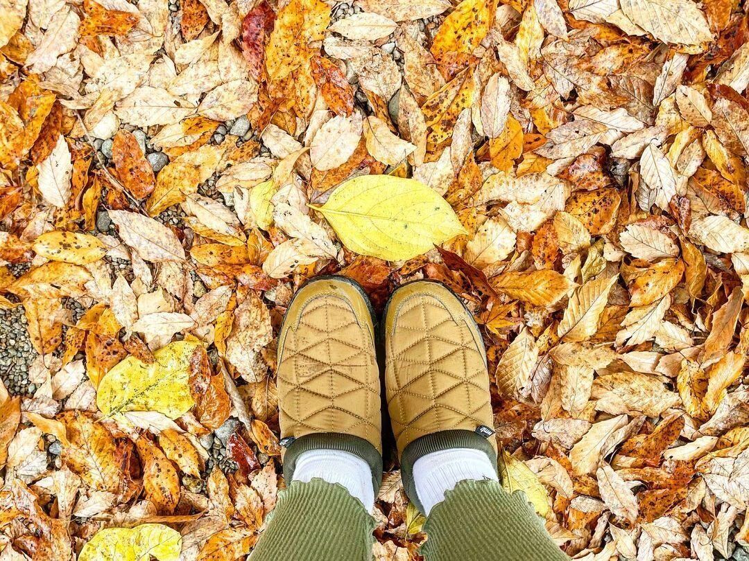 【ワークマン】毎年リピ買い!トレッドモック