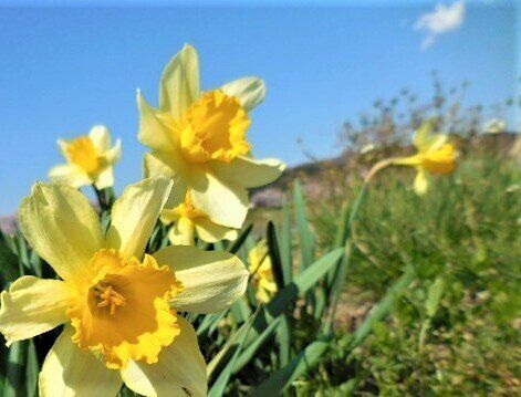 3月はライオンと羊！？慌ただしい時期の天候の注意点を気象予報士が解説！