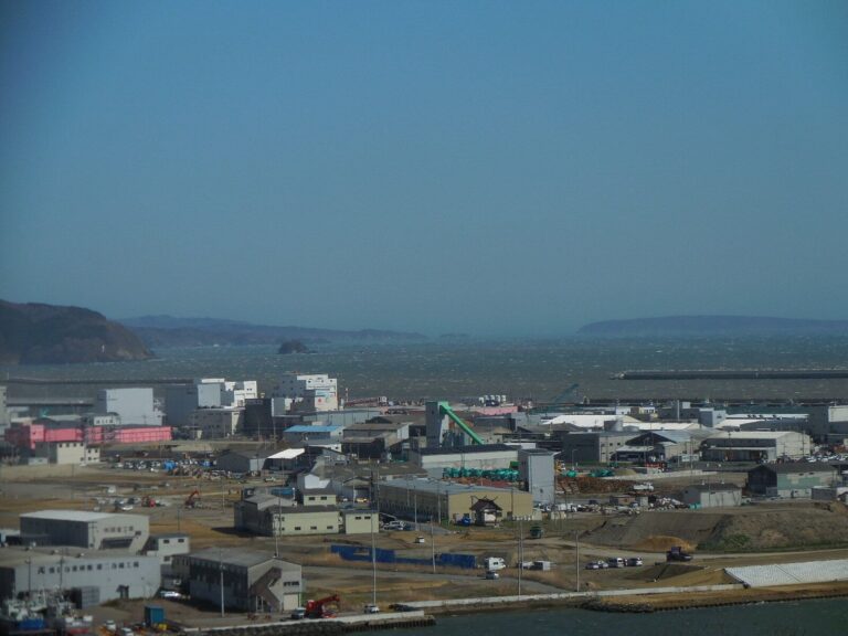 私が見た「震災後の東北」と「あいまいな喪失」 ―― 3月11日に寄せて