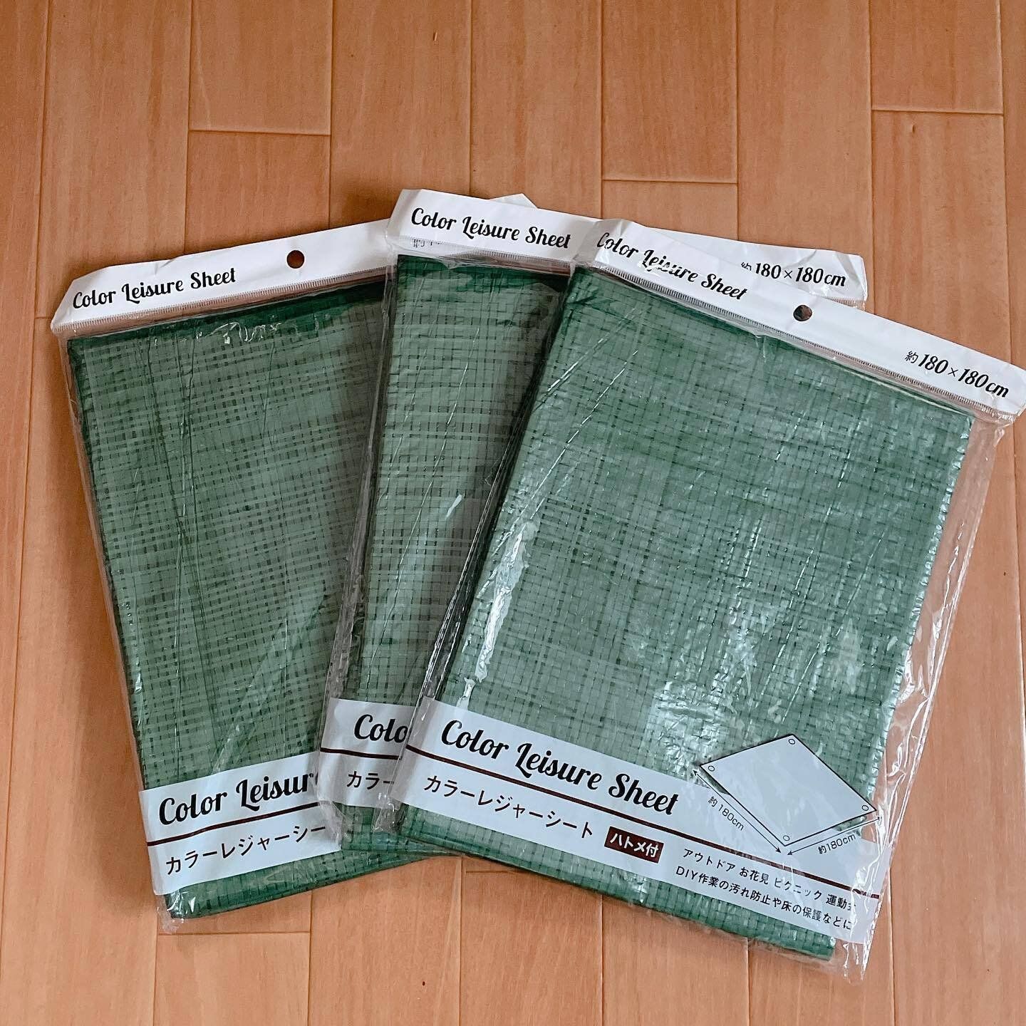 床の保護にも！シンプルな「カラーレジャーシート」