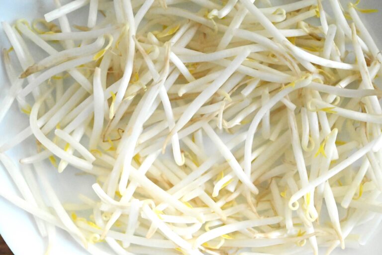 財布にやさしい「もやし」をもっと長持ちさせる！冷蔵・冷凍方法＆冷凍もやしの簡単アレンジレシピ2選