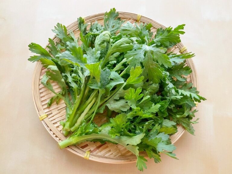 旬の春菊を買ったら絶対やって！管理栄養士が教える春菊の1番おいしい食べ方