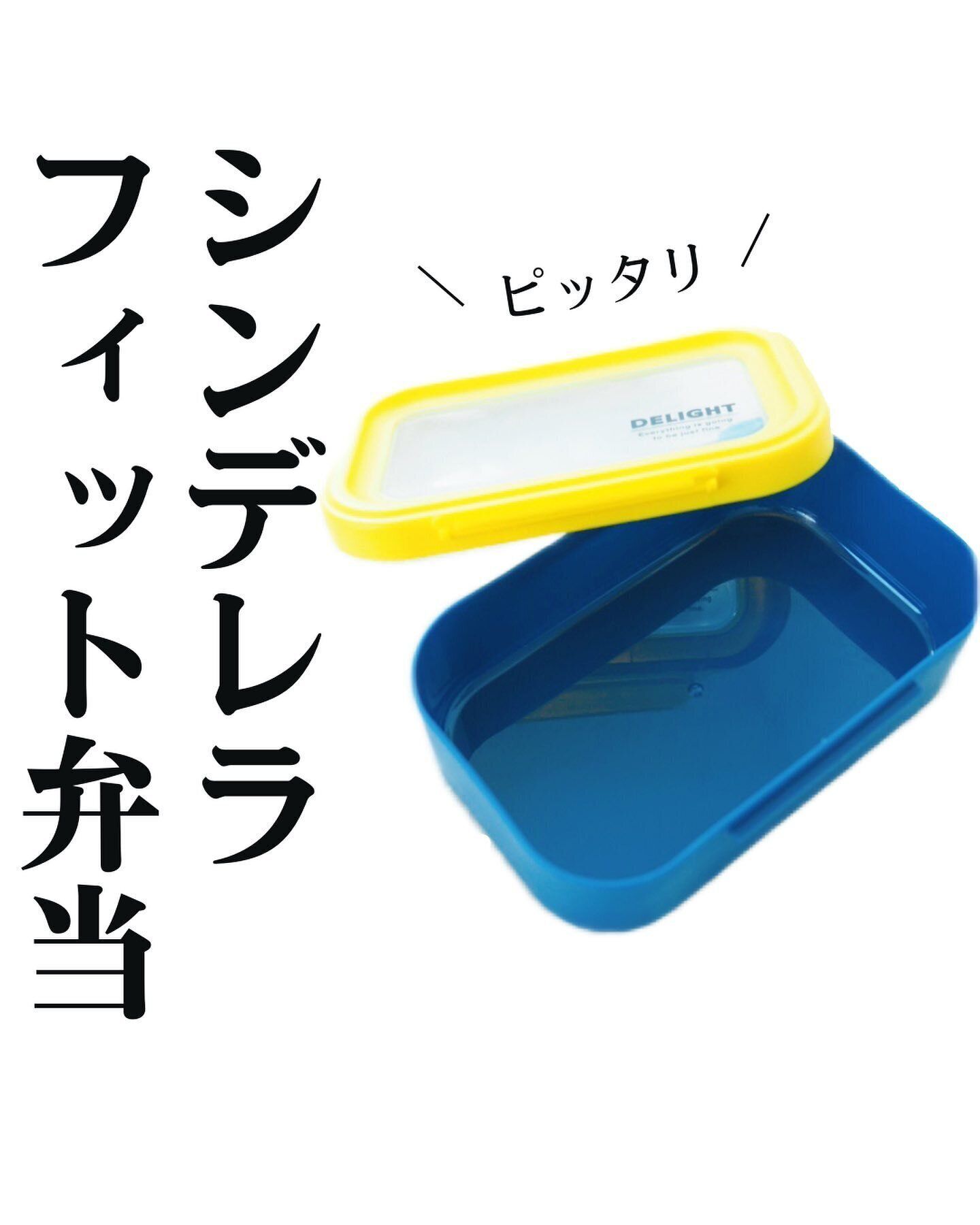 【セリア】長方形デザインでおかずも詰めやすい!