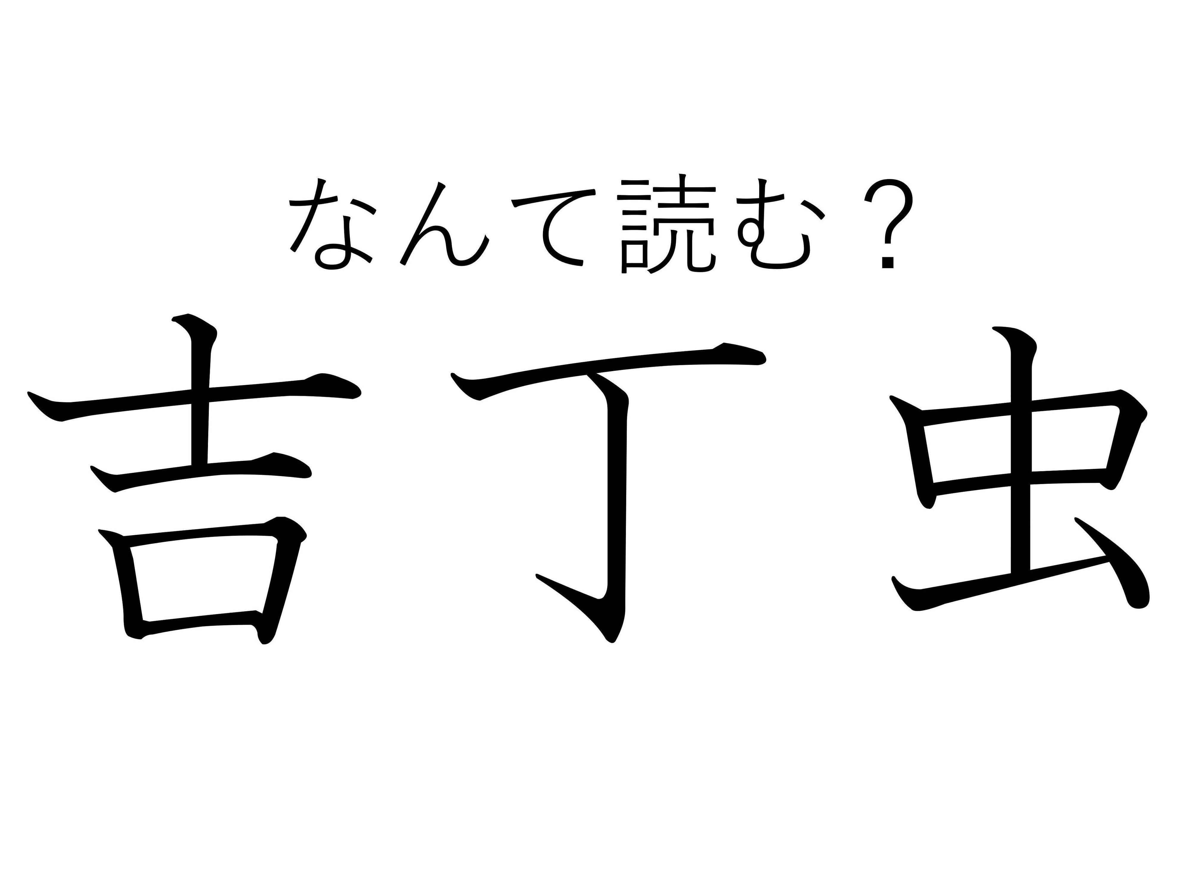 名前はよく聞くけど見つけるのは難しいかも?難読漢字「吉丁虫」はなんて読む?