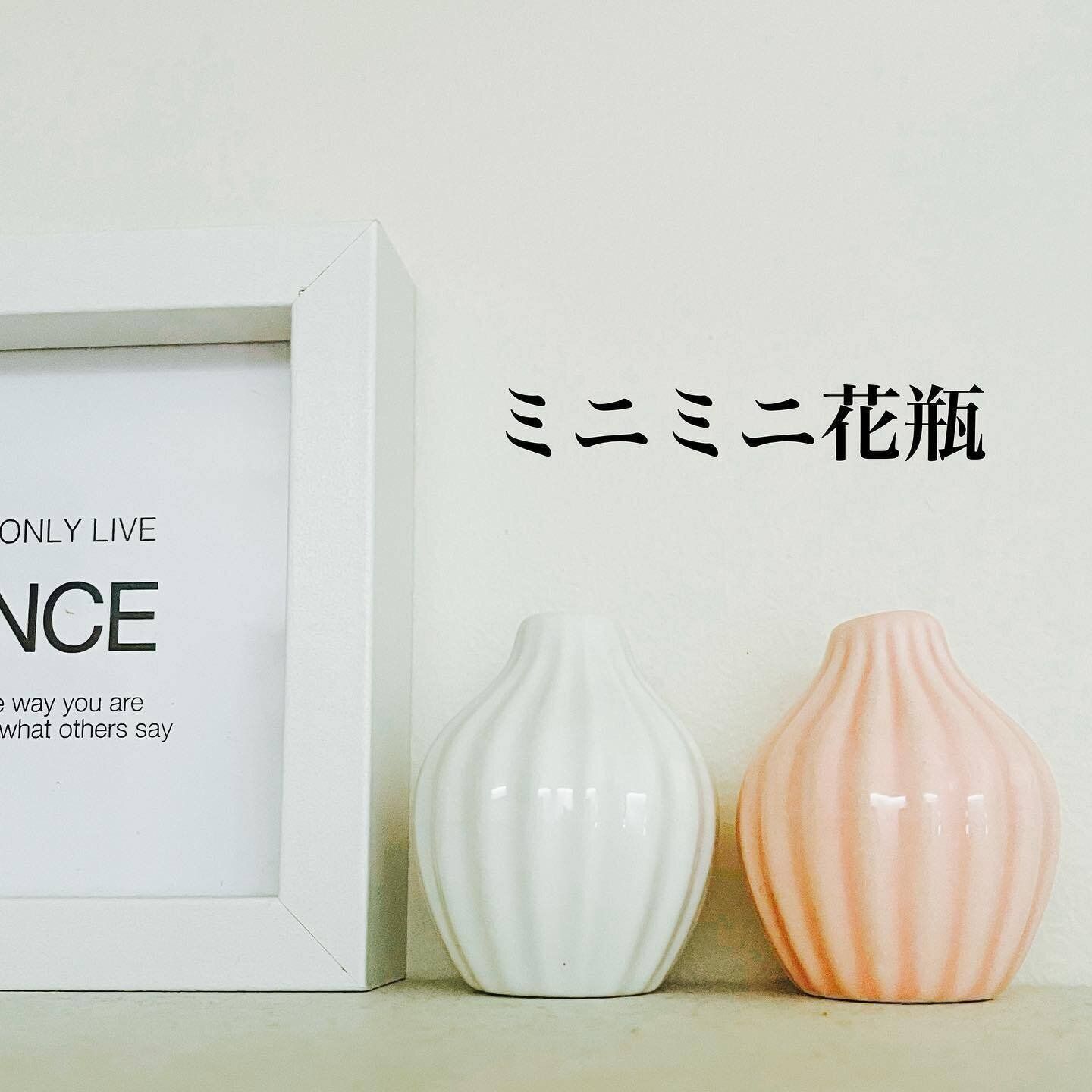 【キャンドゥ】コロンとしたミニサイズ！「ミニミニ花瓶」