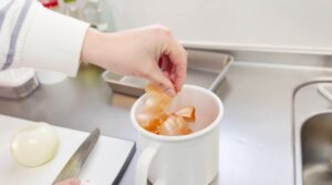 家庭でできるSDGsが「家計の節約」につながる！私がやっている5つのこと