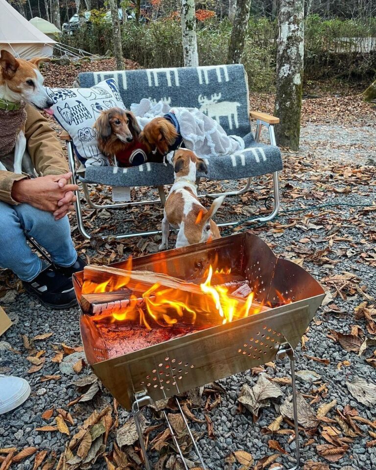 アウトドアがもっと楽しくなりそう！【ワークマン】「とてもよかった」「かなり魅力的」キャンプグッズ3選