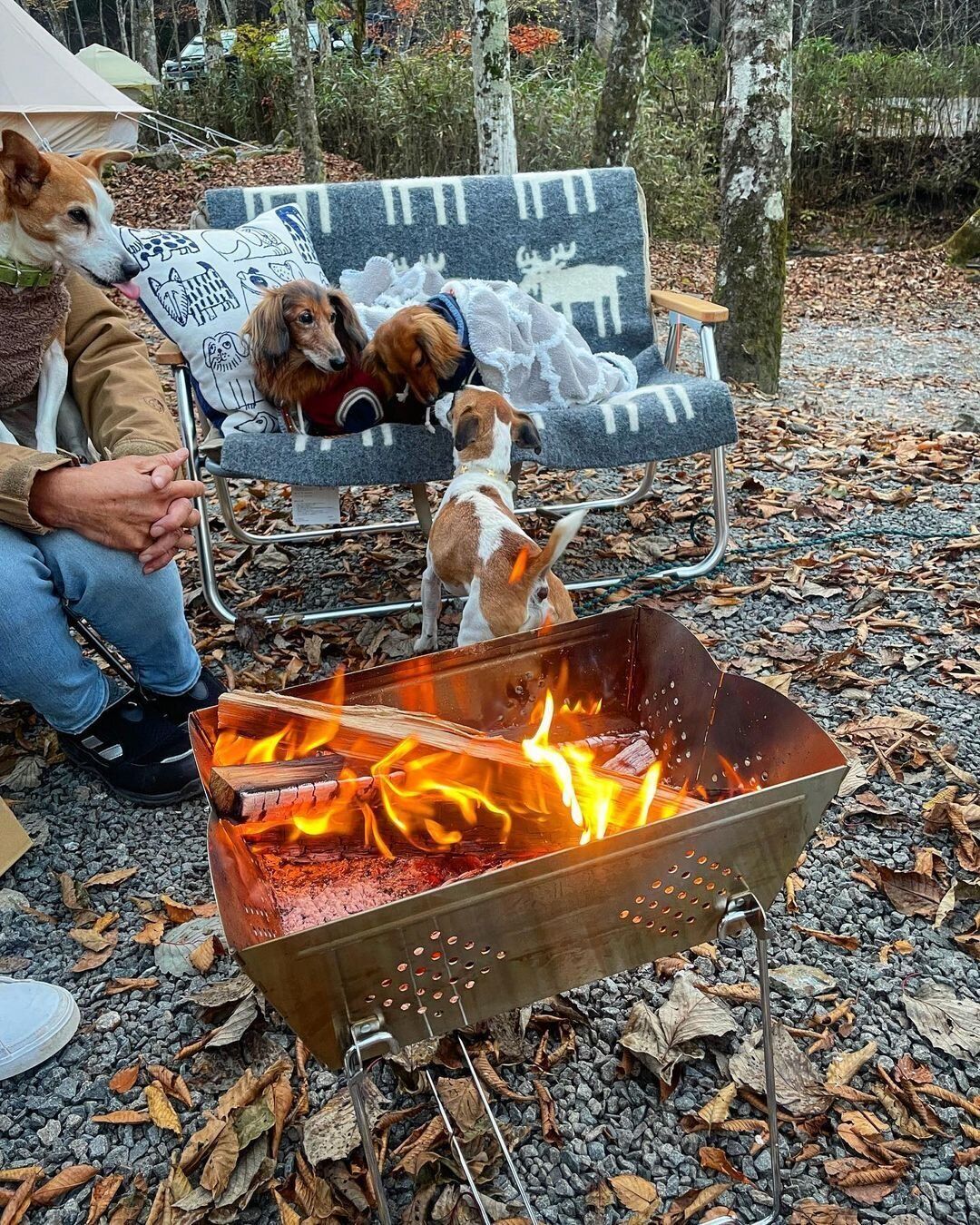【ワークマン】チェアと組み合わせて使うのもオススメ「ワイドフォールディングスクエアグリル」