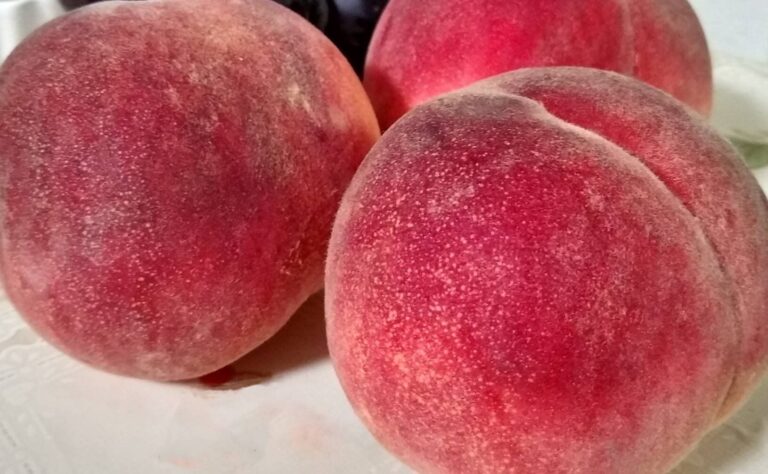 【旬食材】「甘さの勲章」を探せ！失敗せずおいしい桃を選ぶコツ・食べるコツ