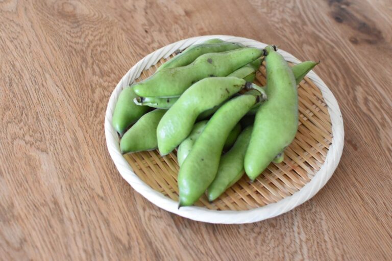 やらなきゃもったいない！いまが旬の「そら豆」の1番おいしい食べ方を紹介