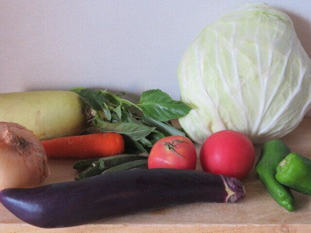 1日分の野菜ってどのくらい？ガチで量って食べてみた結果