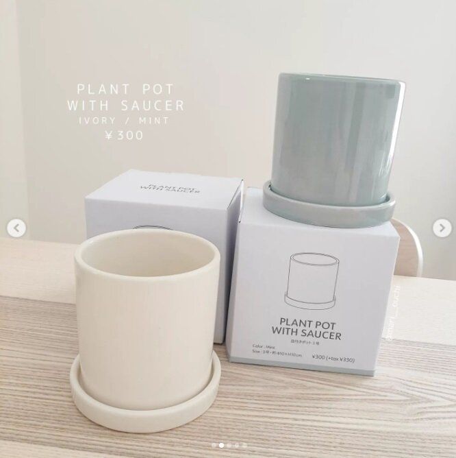 【3COINS】お部屋に緑の癒し空間を