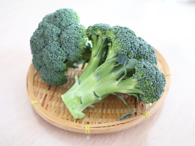 ブロッコリーの正しい茹で方（蒸し方）と茹で時間を解説！コツやおすすめレシピも紹介