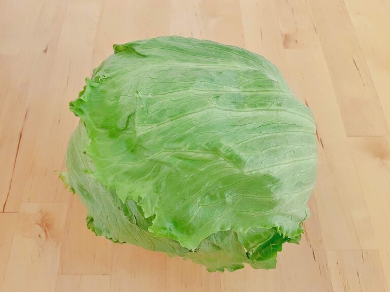 知っておきたい！1日に必要な食物繊維の量はレタス何個分？