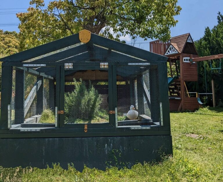 【東京→福岡】移住生活4年で感じる「田舎暮らしのデメリット」3選