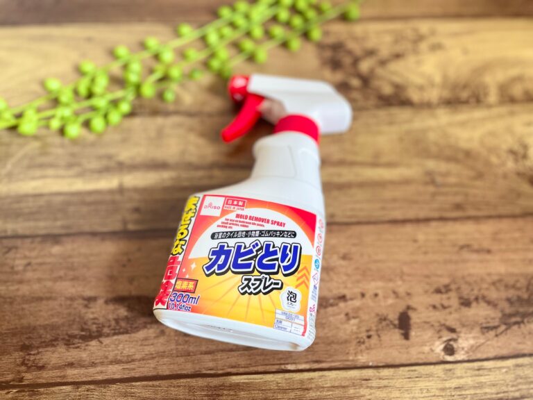 付け替え用もあってコスパ高すぎ！ダイソーの「カビとりスプレー」は買わなきゃ損！