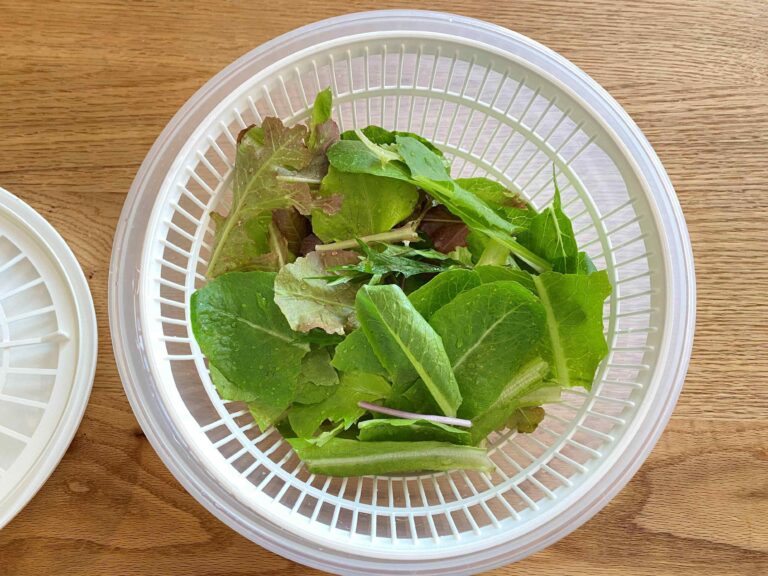 【IKEA】これがワンコイン?!サラダスピナーデビューにおすすめ！