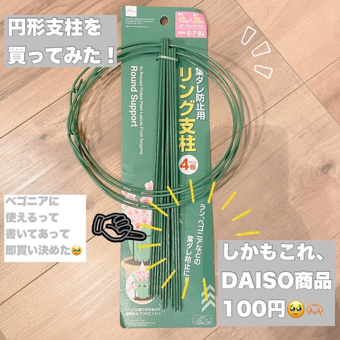 【ダイソー】観葉植物の葉垂れ防止に