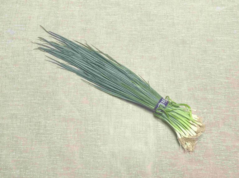 「小ねぎを冷凍するときはペーパーをかぶせてください！」八百屋歴10年、野菜のプロが叫んだ驚きのテクニックを試してみた