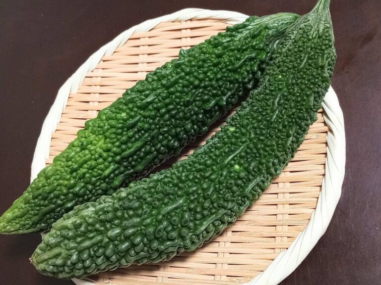 【旬食材】ゴーヤを選ぶコツは？苦さとの関係も野菜ソムリエが解説