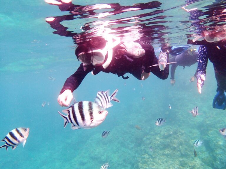 【貯蓄】我が家の夏休みの「旅行代」はこうやって貯めました！