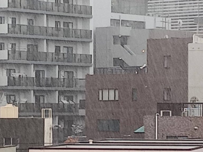 夏の台風はなぜ迷走するの？気象予報士が備えるポイントとともに解説！