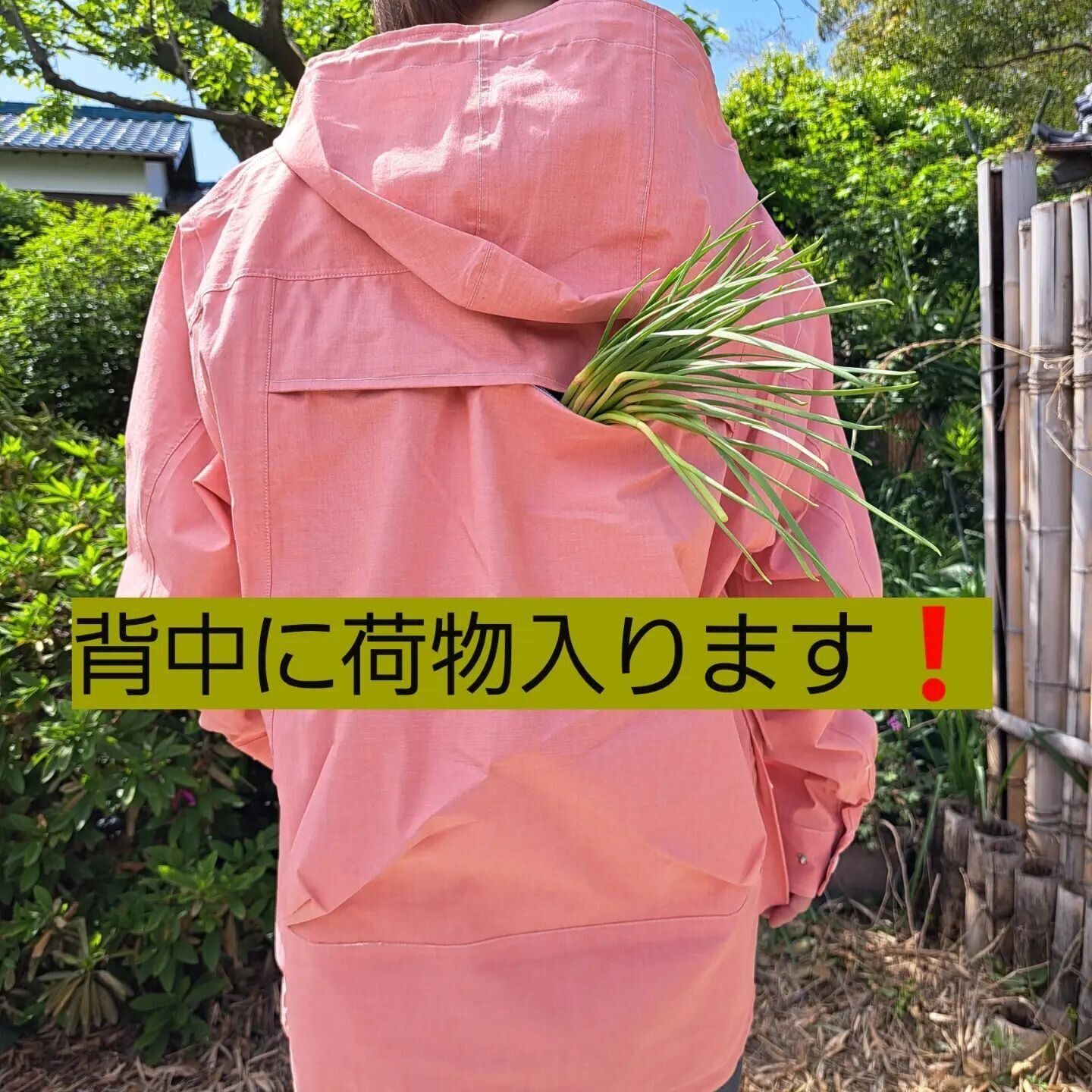 【ワークマン】綿100％なのに防水機能つきのパーカー