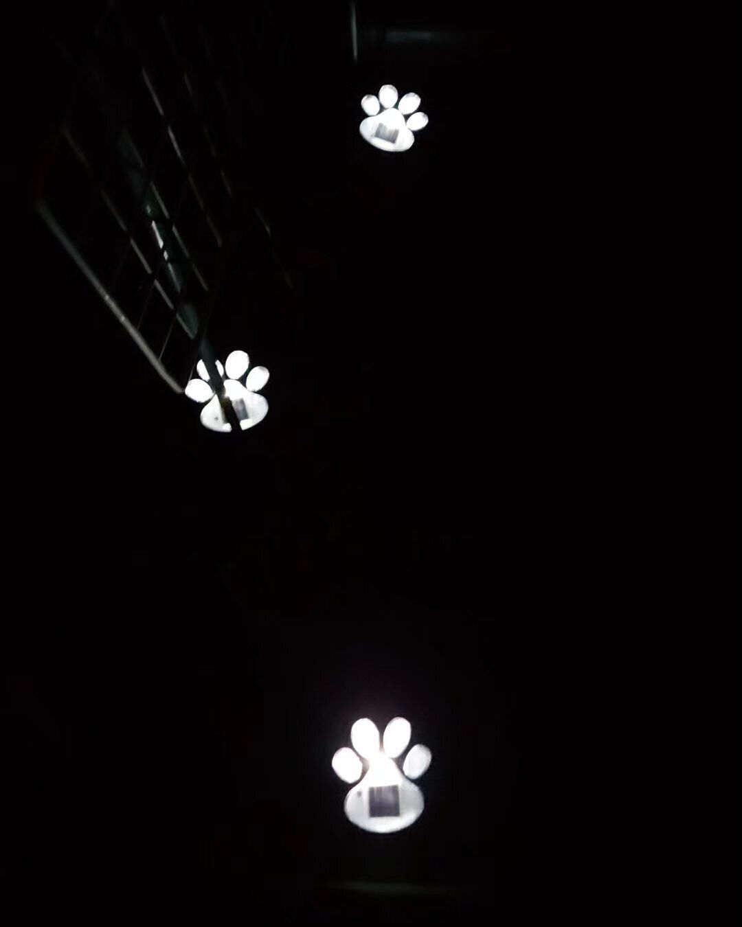 【ダイソー】むちゃくちゃかわいい！ソーラーガーデンライト