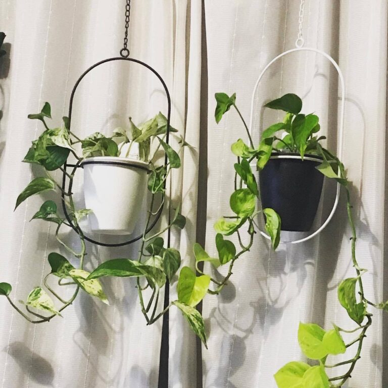 ずっとこんなの欲しかった！【3COINS】「考えた人すごい」「最高！」など話題のアイテム5選