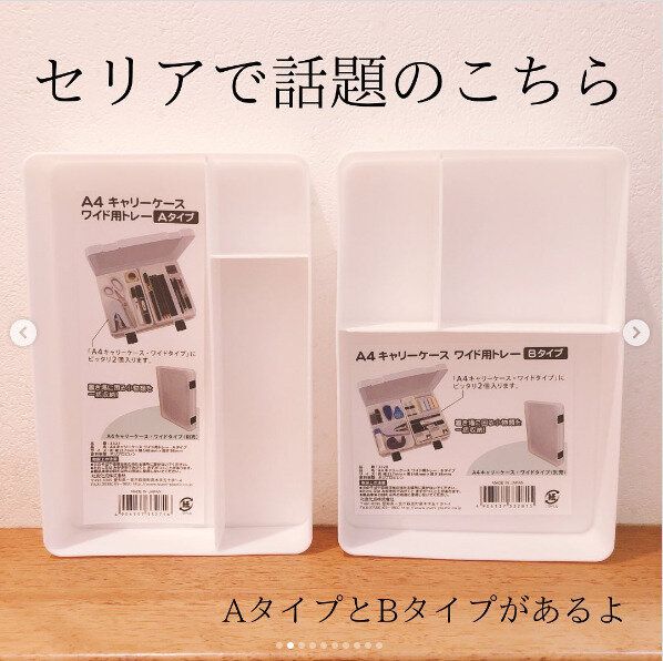 【セリア】SNSでも話題!ぴったりハマる専用収納アイテム