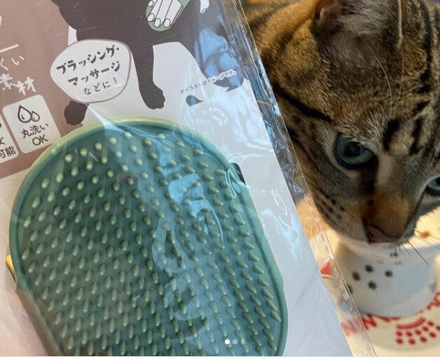 【セリア】ブラッシングやマッサージに