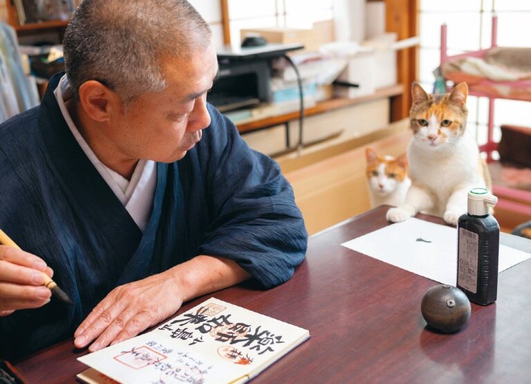 人もねこも、ありのままで。気づけば７匹！日本でいちばん有名な「ねこ寺」那須の長楽寺